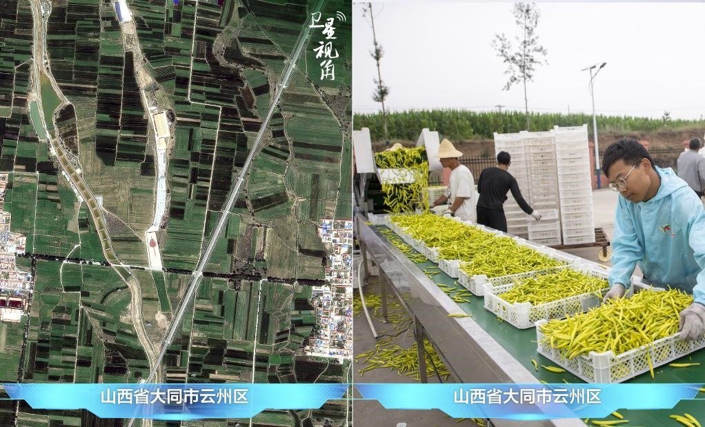 當(dāng)前，大同市開發(fā)黃花菜品、食品、飲品、功能食品、化妝品、文創(chuàng)產(chǎn)品六大系列130余種，全產(chǎn)業(yè)鏈產(chǎn)值超40億元。