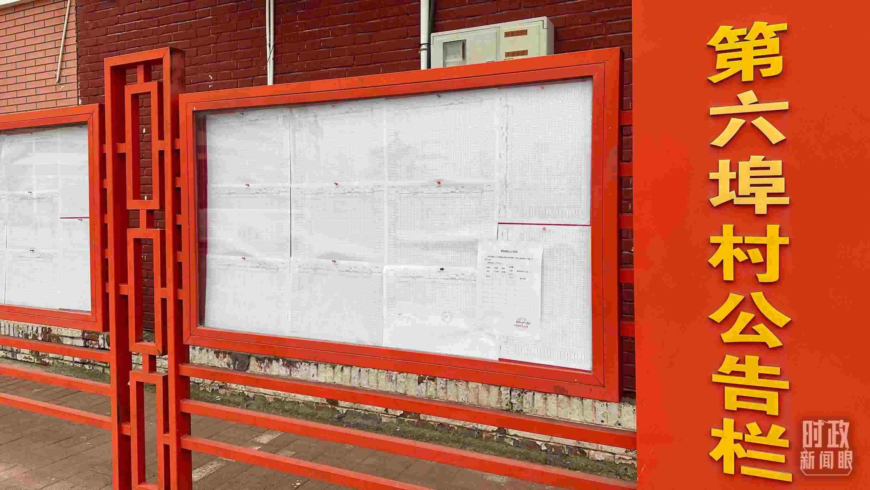 △第六埠村公告欄里張貼著“天津市2023年蓄滯洪區(qū)農(nóng)作物、經(jīng)濟林補償標準表”等。（總臺央視記者覃思拍攝）