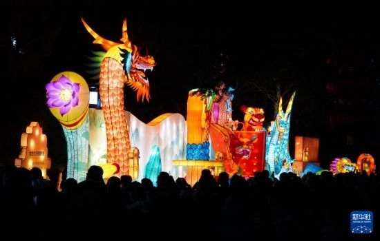 2月11日晚，人們在濟南市趵突泉公園觀賞花燈。