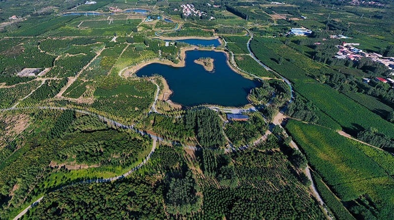 這是2022年9月6日拍攝的雄安新區(qū)“千年秀林”。