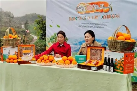 2021年2月26日，在重慶渝北區(qū)大盛鎮(zhèn)青龍村舉辦的直播活動(dòng)現(xiàn)場(chǎng)。