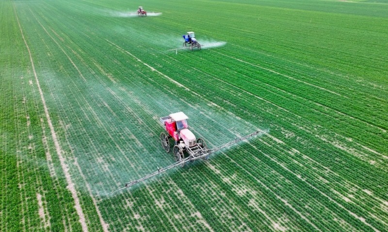 2024年2月18日，安徽省亳州市，利辛縣紀(jì)王場鄉(xiāng)孫老家村麥田，農(nóng)民駕駛自走式高桿噴霧機(jī)對小麥進(jìn)行噴藥作業(yè)。
