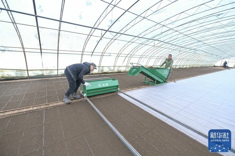 新華全媒+｜“大糧倉”黑龍江春耕備耕火熱進行