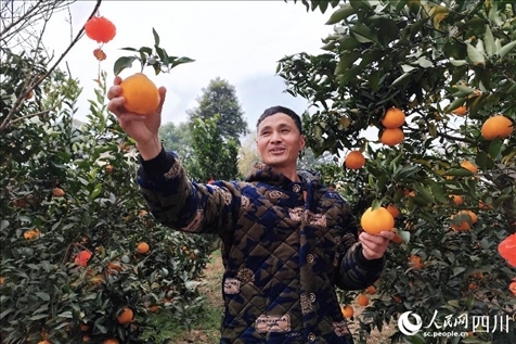 鐵牛村村民趙光進(jìn)。人民網(wǎng)記者 朱虹攝