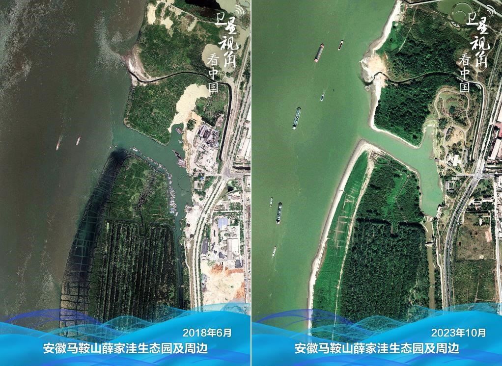 經過整治后的安徽馬鞍山薛家洼生態(tài)園生機盎然。