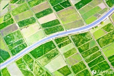 無(wú)人機(jī)視角下的西藏山南市瓊結(jié)農(nóng)田。人民網(wǎng)記者 次仁羅布攝