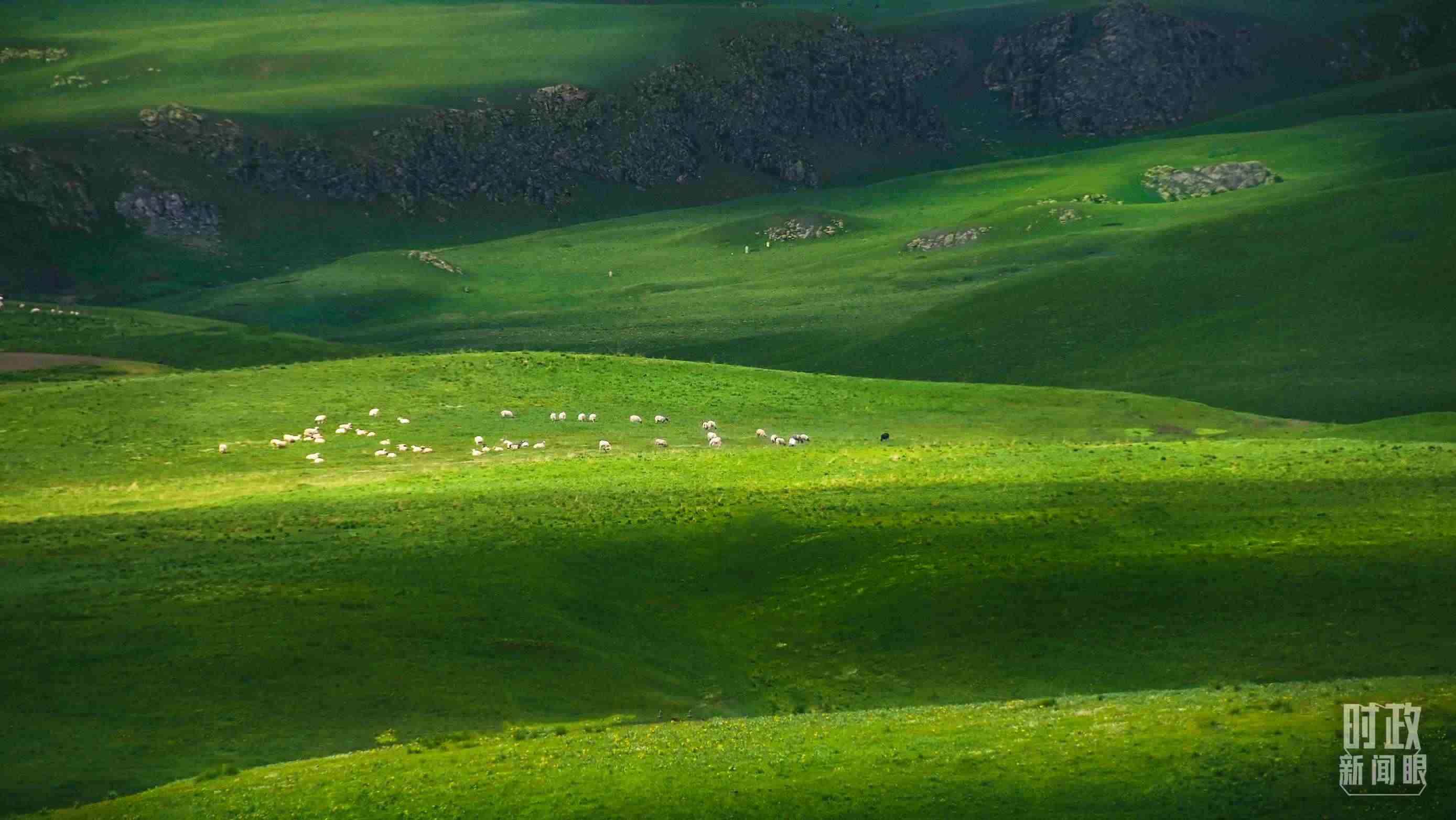 △祁連山草原光影。（圖/視覺中國）