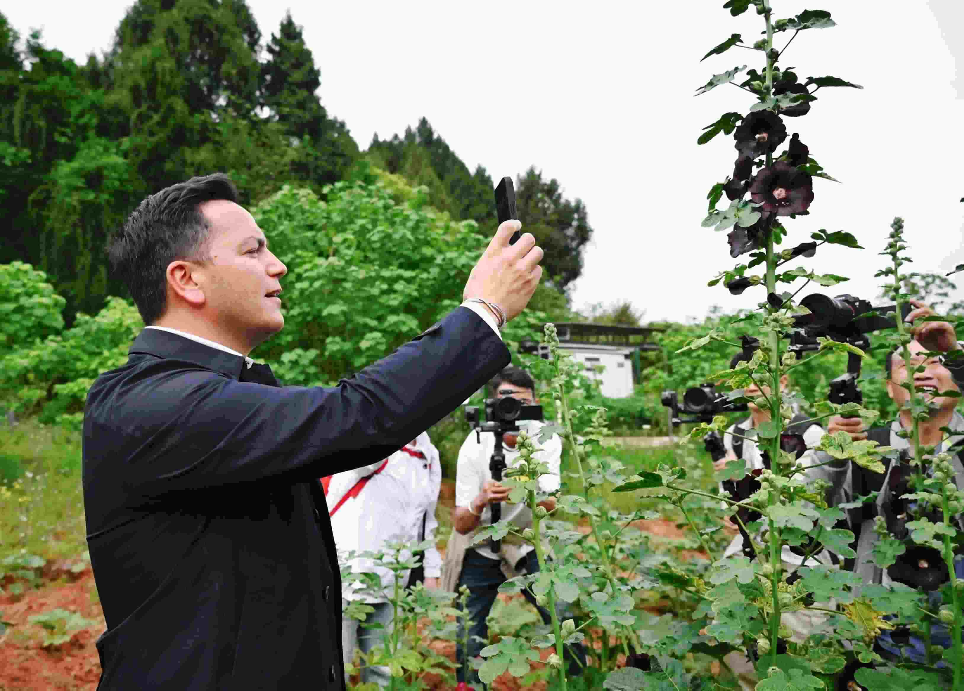  △2024年4月23日，國(guó)際園藝生產(chǎn)者協(xié)會(huì)主席萊昂納多·卡皮塔尼奧在成都市金堂縣鮮花山谷景區(qū)考察蜀葵產(chǎn)業(yè)。
