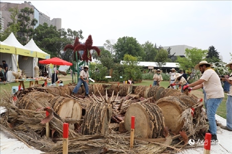 坎波·馬特活動現(xiàn)場。埃內(nèi)斯托·多明戈斯攝