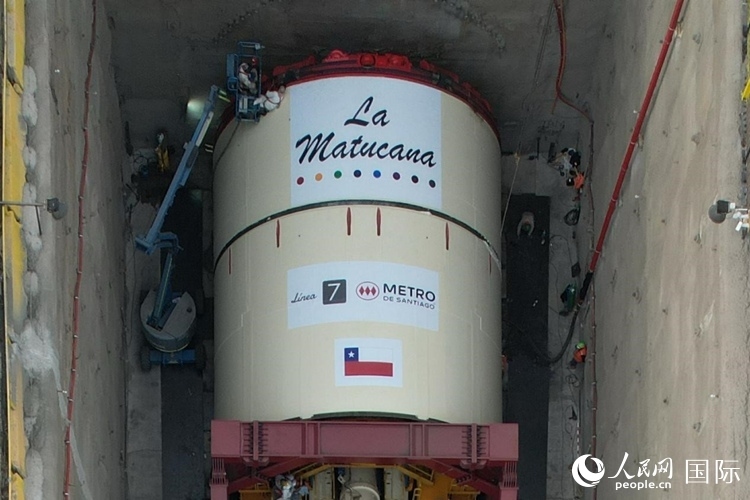 質(zhì)構(gòu)機(jī)全景。陳露明攝