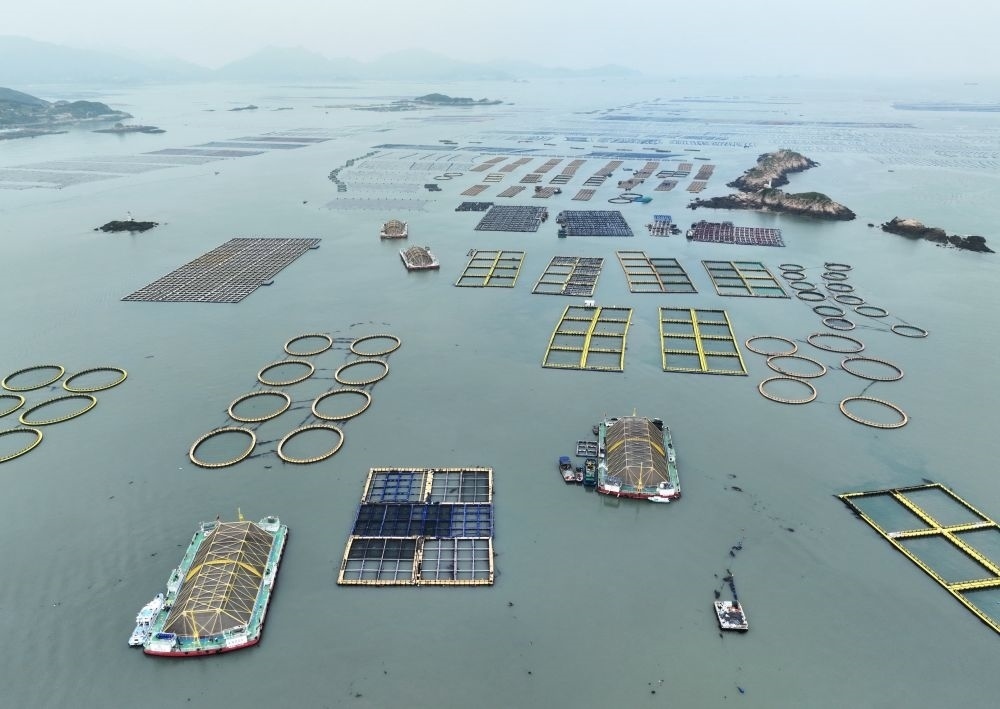 在福建連江定海灣海域，坐落著“定海灣1號”“定海灣2號”等深遠海養(yǎng)殖平臺（2024年5月7日攝，無人機照片）。新華社記者 林善傳 攝