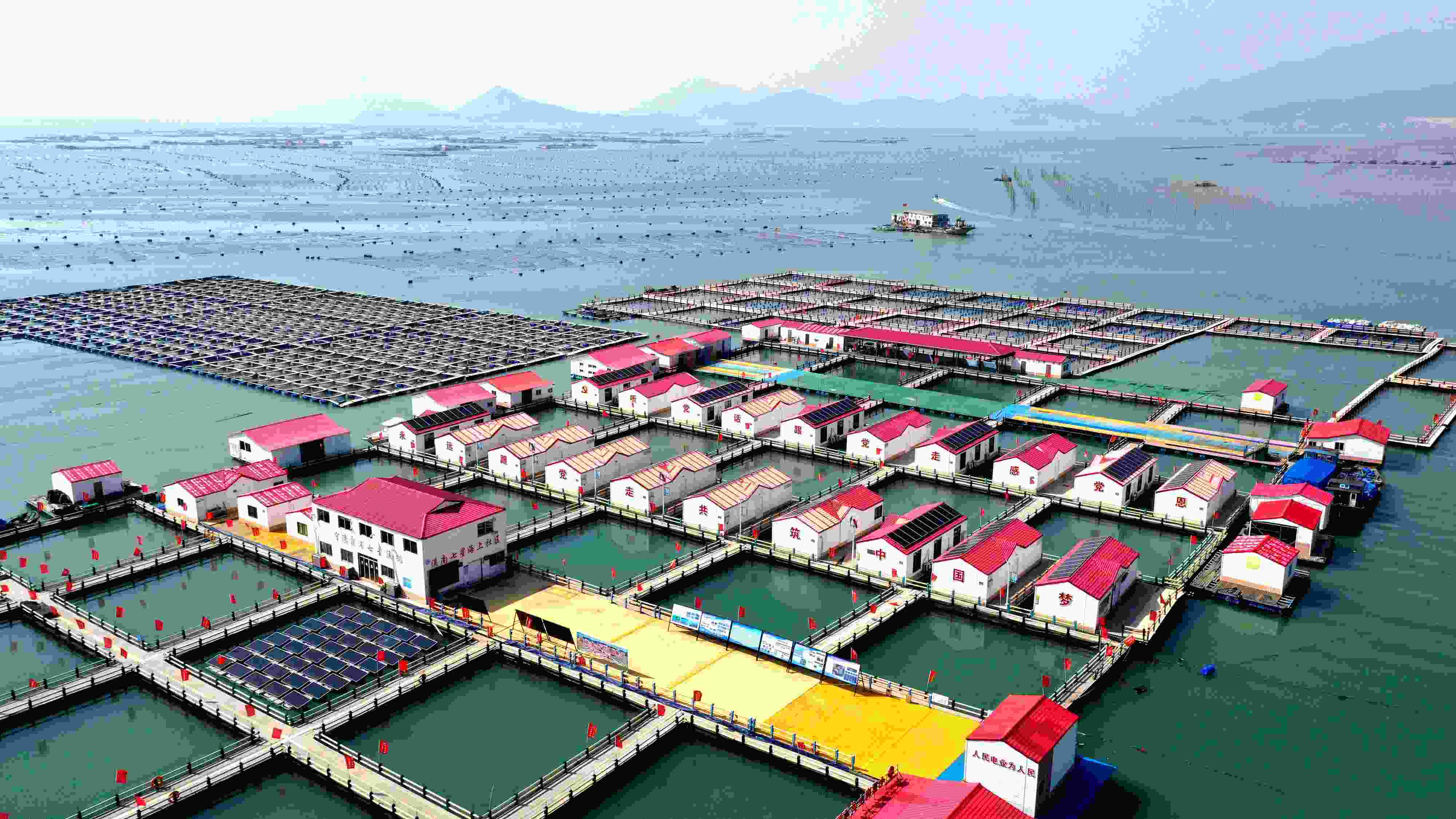 2024年3月20日，福建省寧德市，霞浦縣溪南鎮(zhèn)七星村漁排養(yǎng)殖示范區(qū)，漁民駕駛養(yǎng)殖船進行海參養(yǎng)殖作業(yè)。