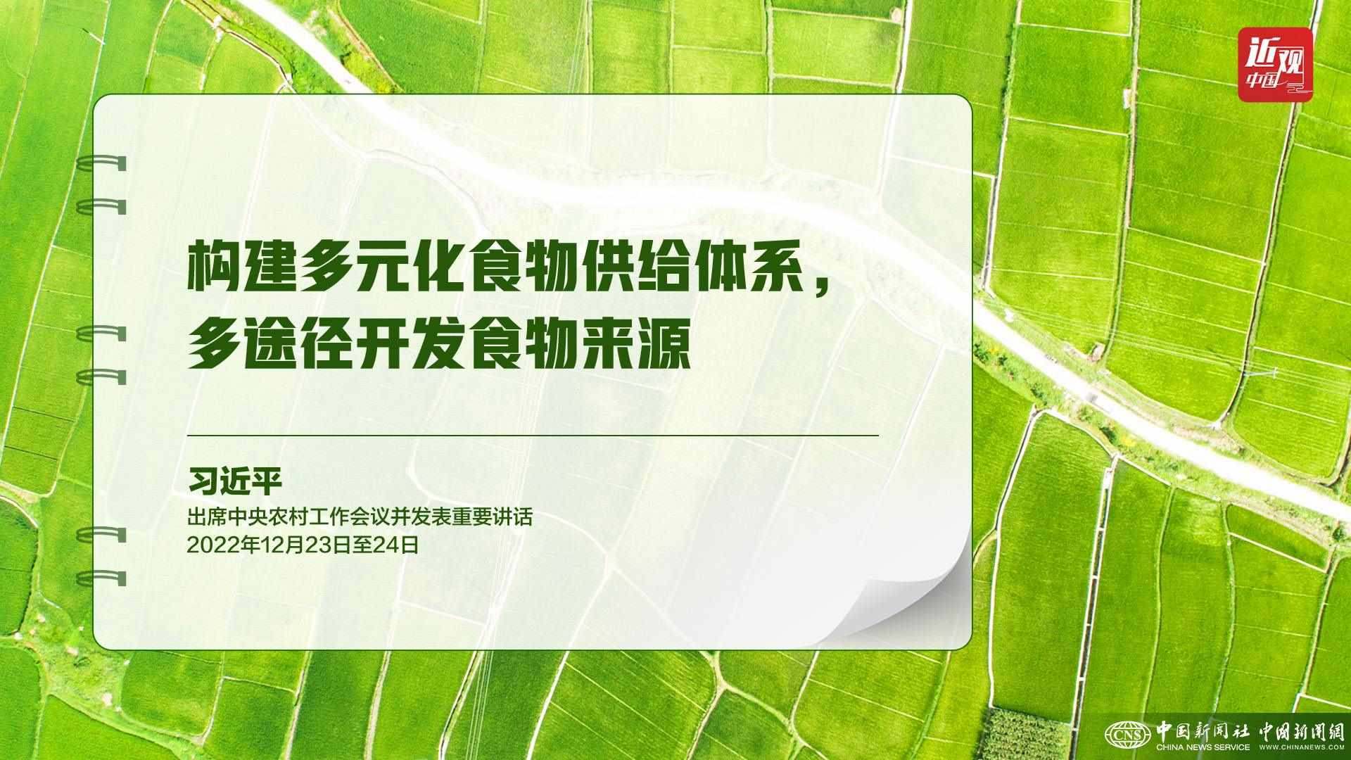 習近平：樹立大食物觀，構建多元化食物供給體系