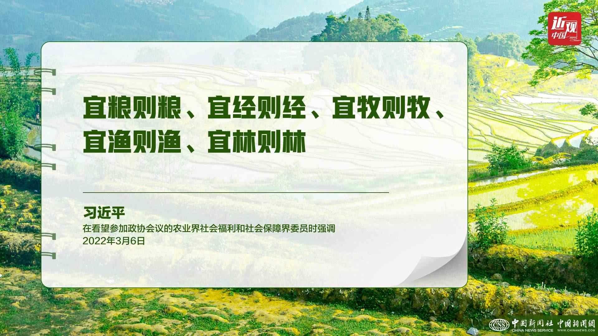 習近平：樹立大食物觀，構建多元化食物供給體系