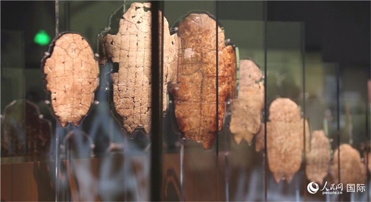 殷墟博物館新館的甲骨展品。人民網(wǎng)記者 劉寧攝