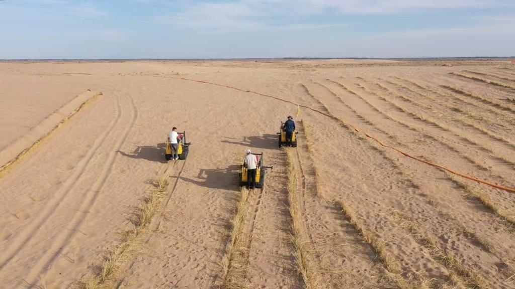 內(nèi)蒙古巴彥淖爾市烏拉特后旗西補隆林業(yè)管護中心職工駕駛機械鋪設(shè)壓沙障。新華社記者 李云平 攝