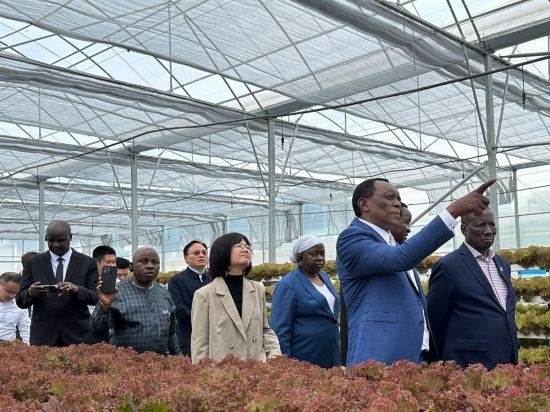 使節(jié)團考察貴州省清鎮(zhèn)駱家橋蔬菜保供基地的無土栽培溫室。新華社記者 袁睿 攝