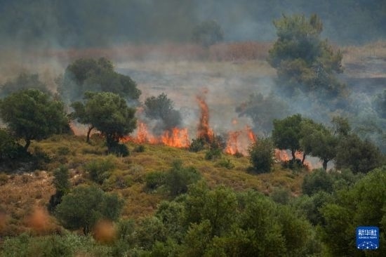 6月12日，以色列北部加利利地區(qū)遭受火箭彈襲擊后冒出滾滾濃煙。新華社發(fā)（阿亞爾·馬戈林?jǐn)z/基尼圖片社）