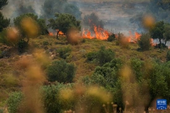 6月12日，以色列北部加利利地區(qū)遭受火箭彈襲擊后冒出滾滾濃煙。新華社發(fā)（阿亞爾·馬戈林?jǐn)z/基尼圖片社）
