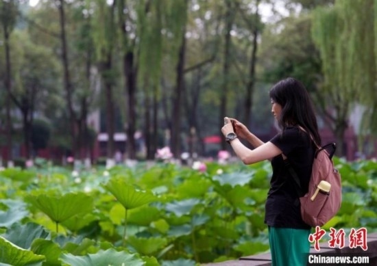 6月19日，時值一年畢業(yè)季，四川大學(xué)望江校區(qū)荷花池里的荷花盛開，成為了畢業(yè)生們的打卡圣地，吸引了眾多畢業(yè)生拍照留念。圖為畢業(yè)生在荷花池邊拍照留念。中新社記者 安源 攝