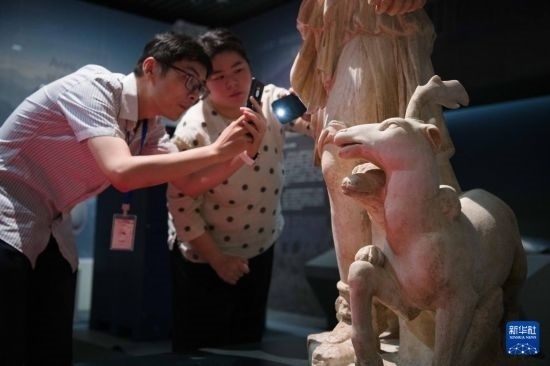 7月2日，安徽博物院工作人員在拍攝開箱后的古希臘文物。新華社記者 張端 攝