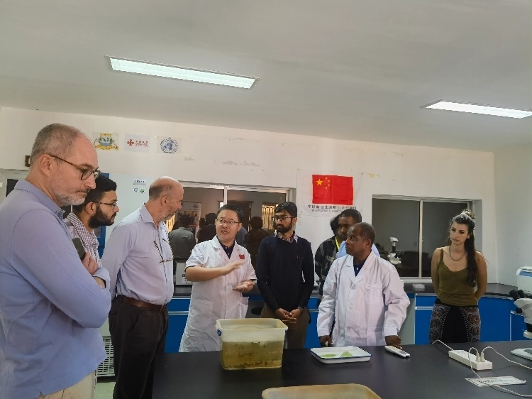 活動現(xiàn)場。專家組供圖