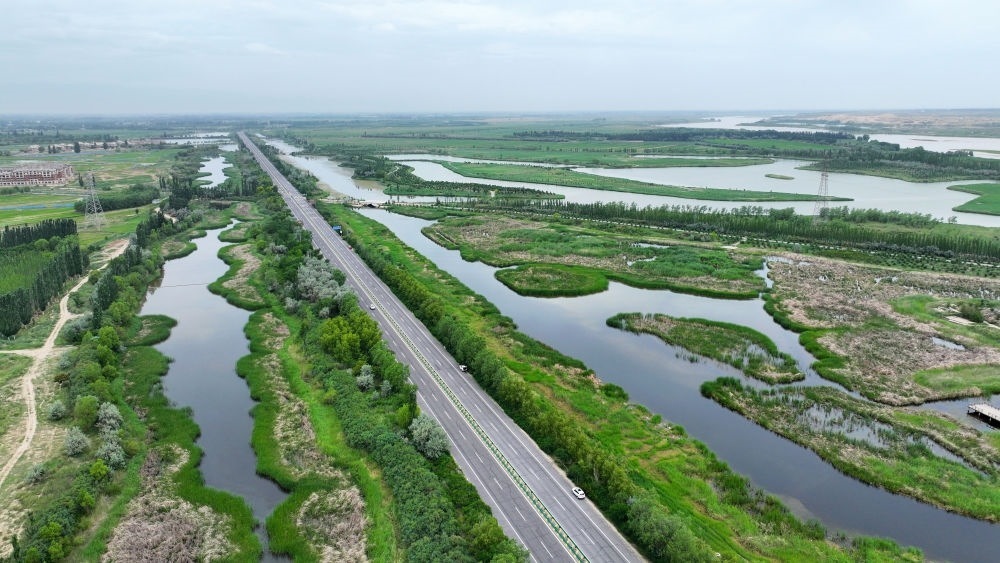 這是2024年6月13日拍攝的黃河寧夏段濱河大道（無人機(jī)照片）。近年來，寧夏努力建設(shè)黃河流域生態(tài)保護(hù)和高質(zhì)量發(fā)展先行區(qū)，全力打好黃河保護(hù)持久戰(zhàn)。新華社記者 王鵬 攝