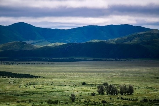 2023年8月4日拍攝的大興安嶺南麓內(nèi)蒙古罕山國(guó)家級(jí)自然保護(hù)區(qū)風(fēng)光。新華社記者 連振 攝