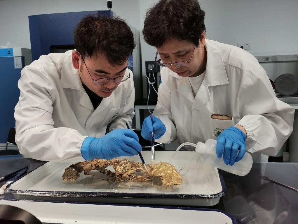 2023年7月，馬燕如（右）帶著魯海子（左）修復(fù)三星堆遺址出土的黃金面具。新華社發(fā)（四川省文物考古研究院供圖）