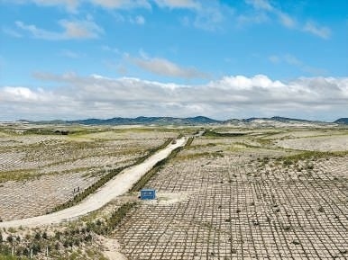 剛剛竣工的其白線穿沙公路。