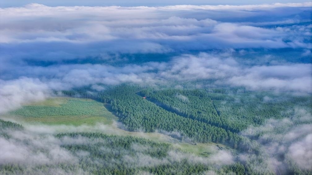 2024年7月26日拍攝的塞罕壩國(guó)家級(jí)自然保護(hù)區(qū)景色。新華社發(fā)（劉滿倉(cāng) 攝）