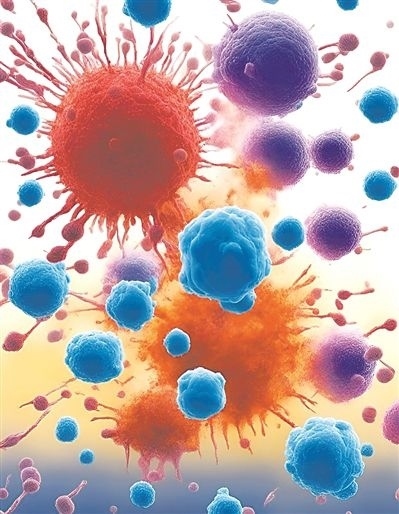 用氯化鈉處理的高活性CD8 T細(xì)胞（紫色），與未經(jīng)處理的細(xì)胞（藍(lán)色）相比，其抗腫瘤能力更強(qiáng)，能夠顯著損傷腫瘤細(xì)胞（紅色）。圖片來源：德國耶拿弗里德里希·席勒大學(xué)