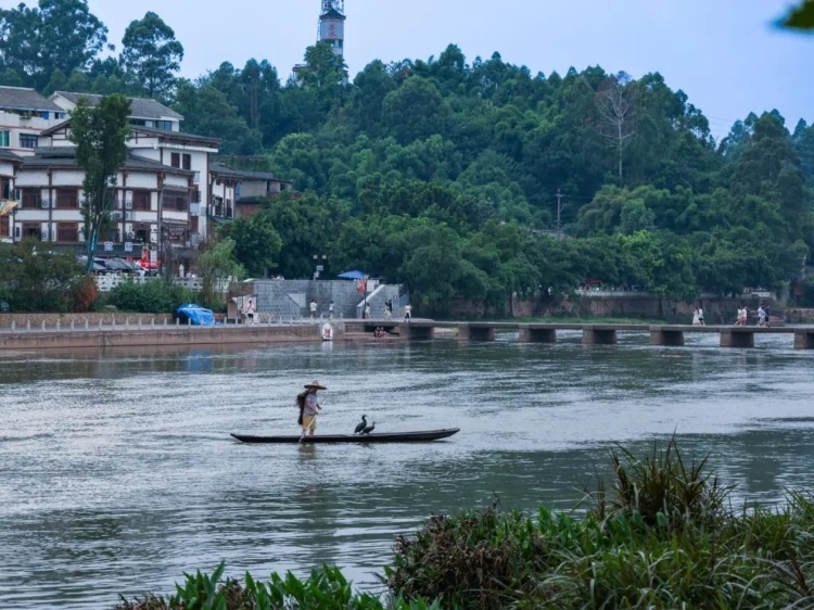 蘇稽古鎮(zhèn)的漁民在進(jìn)行魚(yú)鷹捕魚(yú)表演。本報(bào)記者 伊霄攝