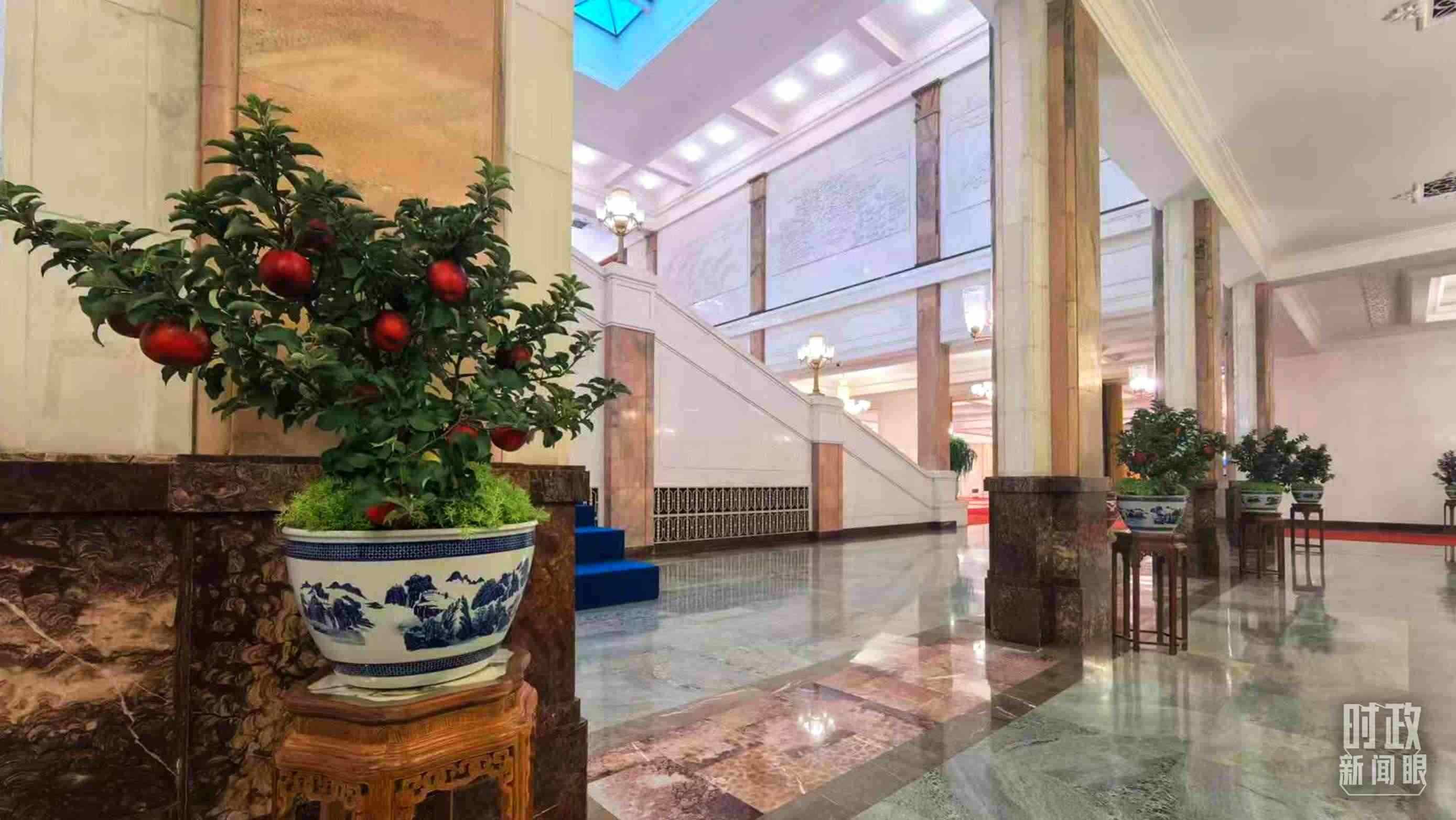  △大會堂內(nèi)的“碩果累累”盆栽。（總臺國廣記者吳倩拍攝）