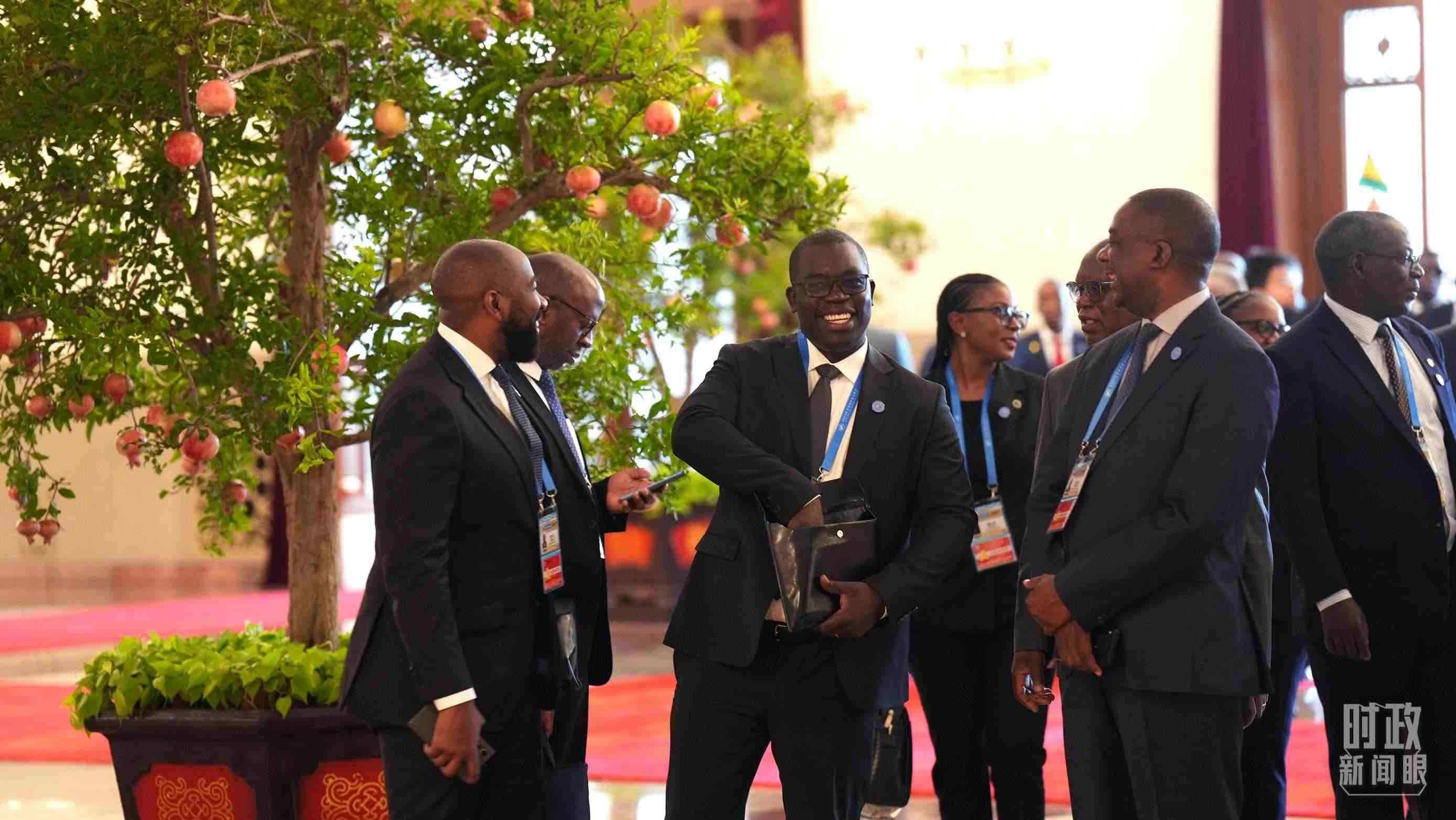 出席中非合作論壇北京峰會(huì)的非洲國家代表。（總臺(tái)記者李晉拍攝）