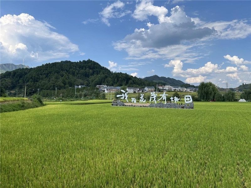 青瓦白磚的黔北民居、風中搖曳的稻田、抬手可觸的大片云朵……才剛下車，格魯吉亞“經(jīng)濟中心網(wǎng)”總編輯莉安娜·喬爾喬利亞尼就被眼前的景色拖住了步履，喃喃細語：“實在太美了，讓我內心平靜，在這里生活一定非常安逸和幸福?！保ㄇ褫x攝）