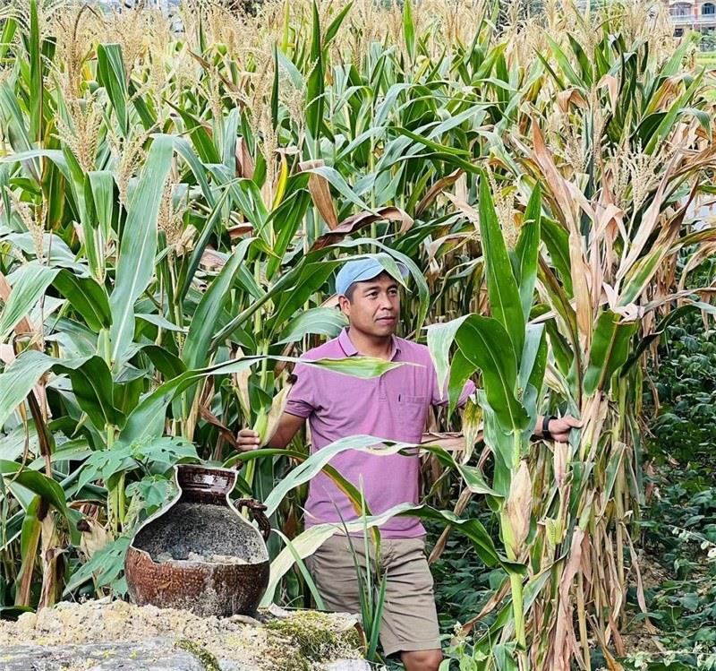 不是攀登石林高臺，就是鉆入玉米莊稼地，吉爾吉斯斯坦《自由之山報》總編輯納拉雷·阿桑巴耶夫“身手不凡”，與生長旺盛的玉米構成了花茂村的鄉(xiāng)間野趣。（張亞欣攝）