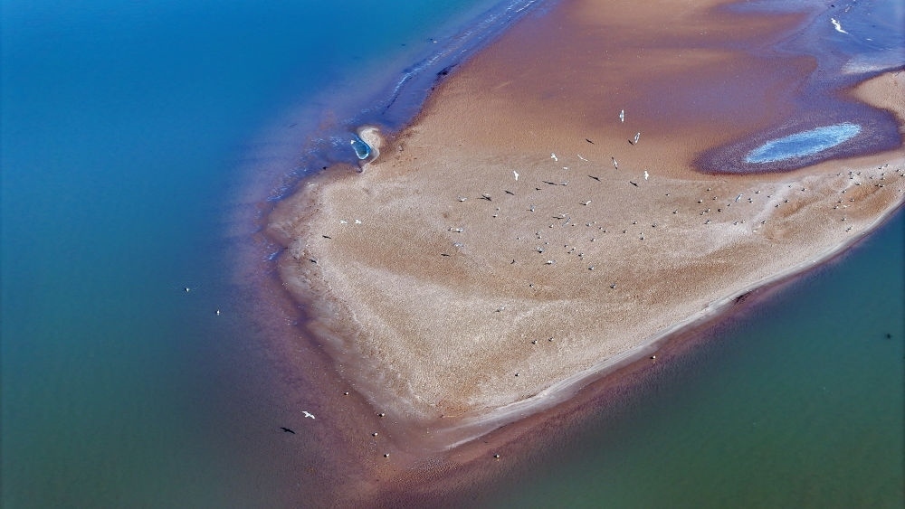 2024年3月1日拍攝的黃河寧夏段（無人機照片）。