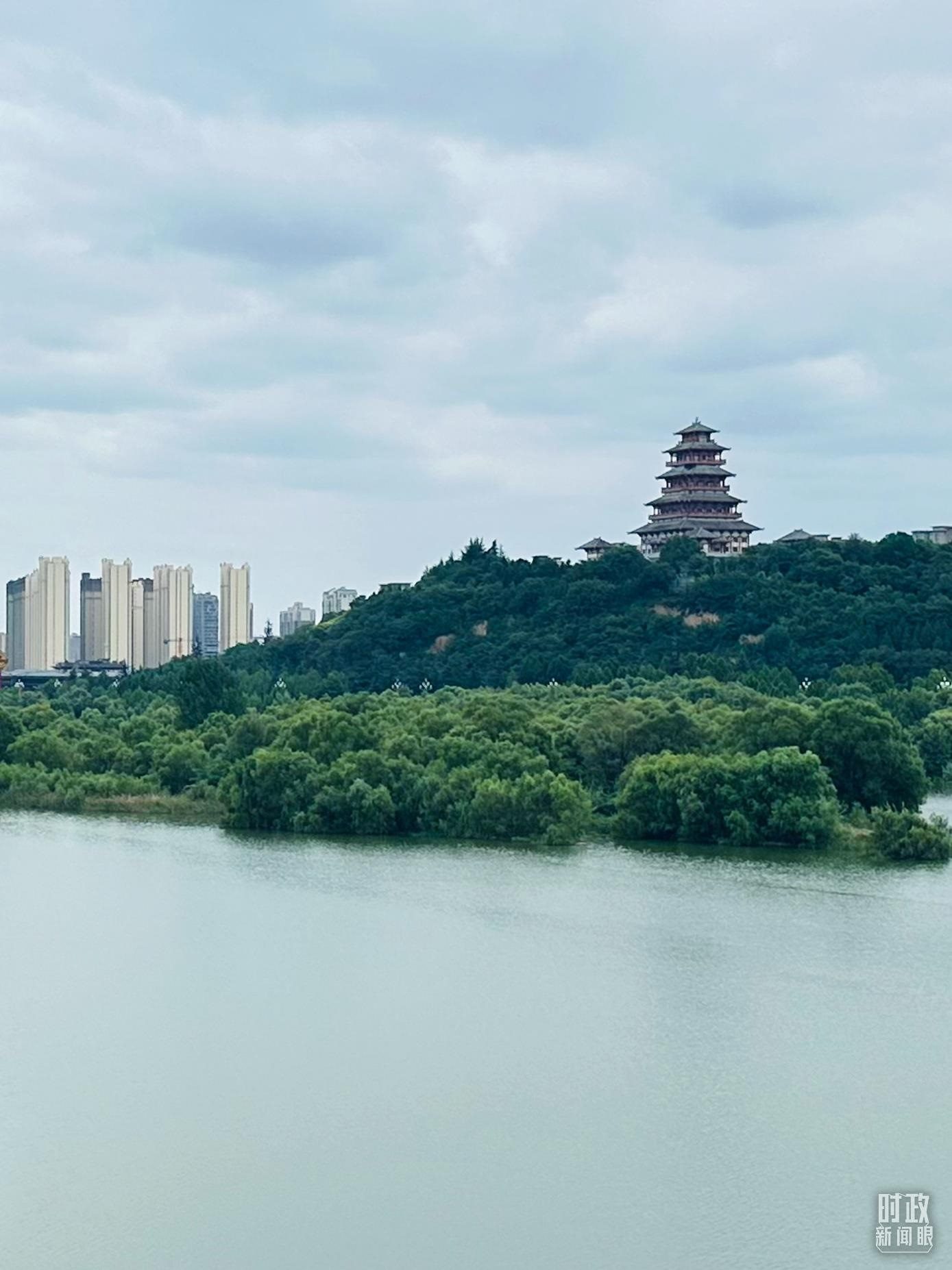 △渭河寶雞段長(zhǎng)224公里，目前建成17處渭河灘區(qū)生態(tài)涵養(yǎng)區(qū)。（總臺(tái)央視記者范一鳴拍攝）