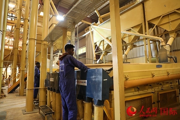 在Bule Hora咖啡加工廠里工作的當?shù)毓と藗?。人民網(wǎng)記者 沈小曉攝