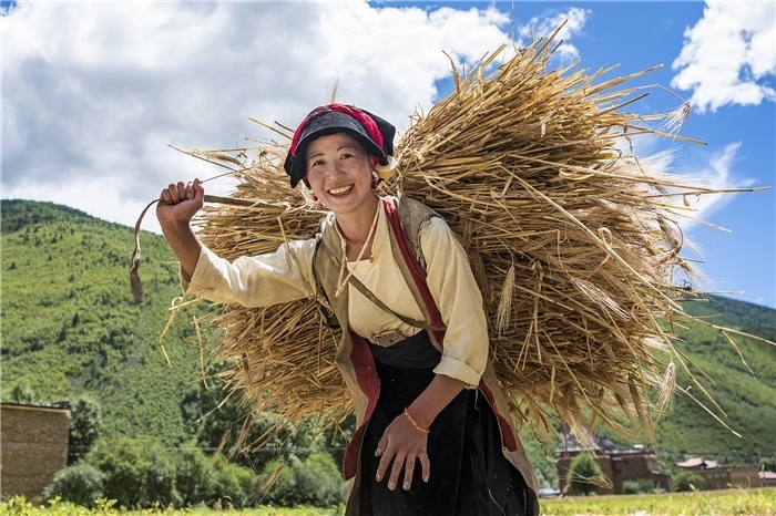 康定市甲根壩鎮(zhèn)青稞豐收，農(nóng)牧民臉上洋溢著豐收的喜悅。林革文攝