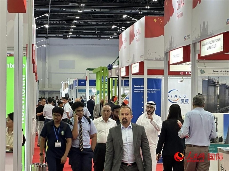 中國(guó)館一角。人民網(wǎng)記者管克江攝