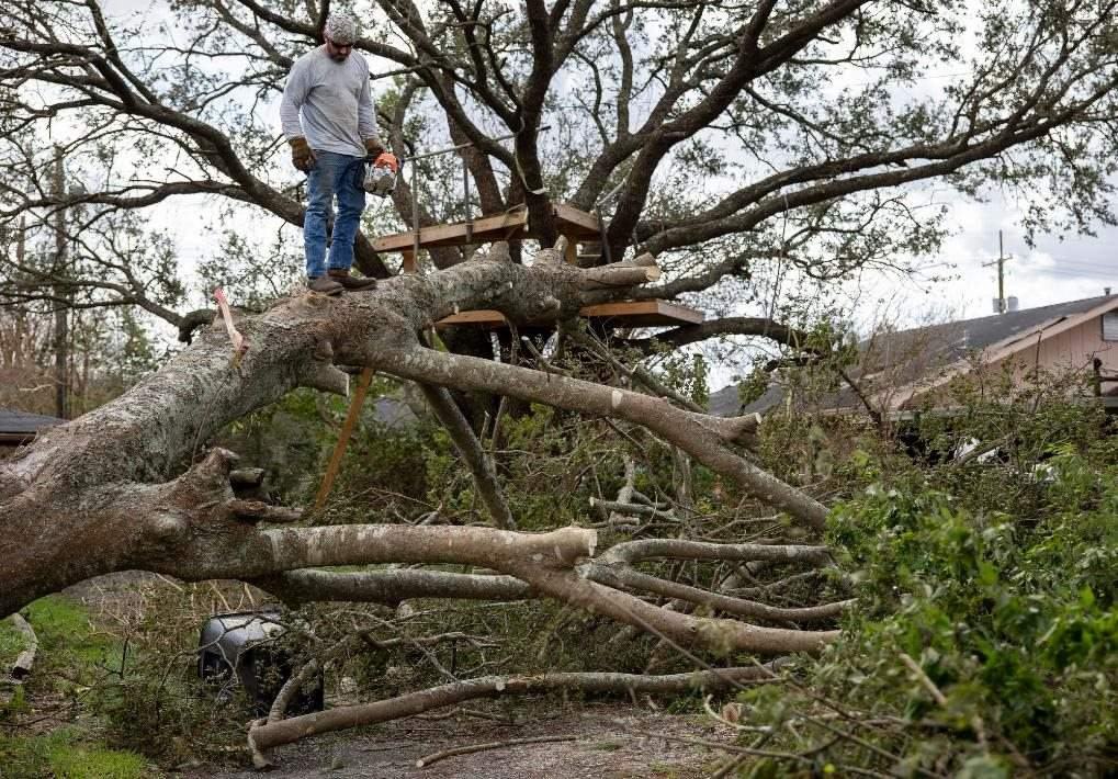 2021年8月30日，在美國路易斯安那州霍馬，一名男子站在被颶風吹倒的大樹上。新華社發(fā)（尼克·瓦格納 攝）