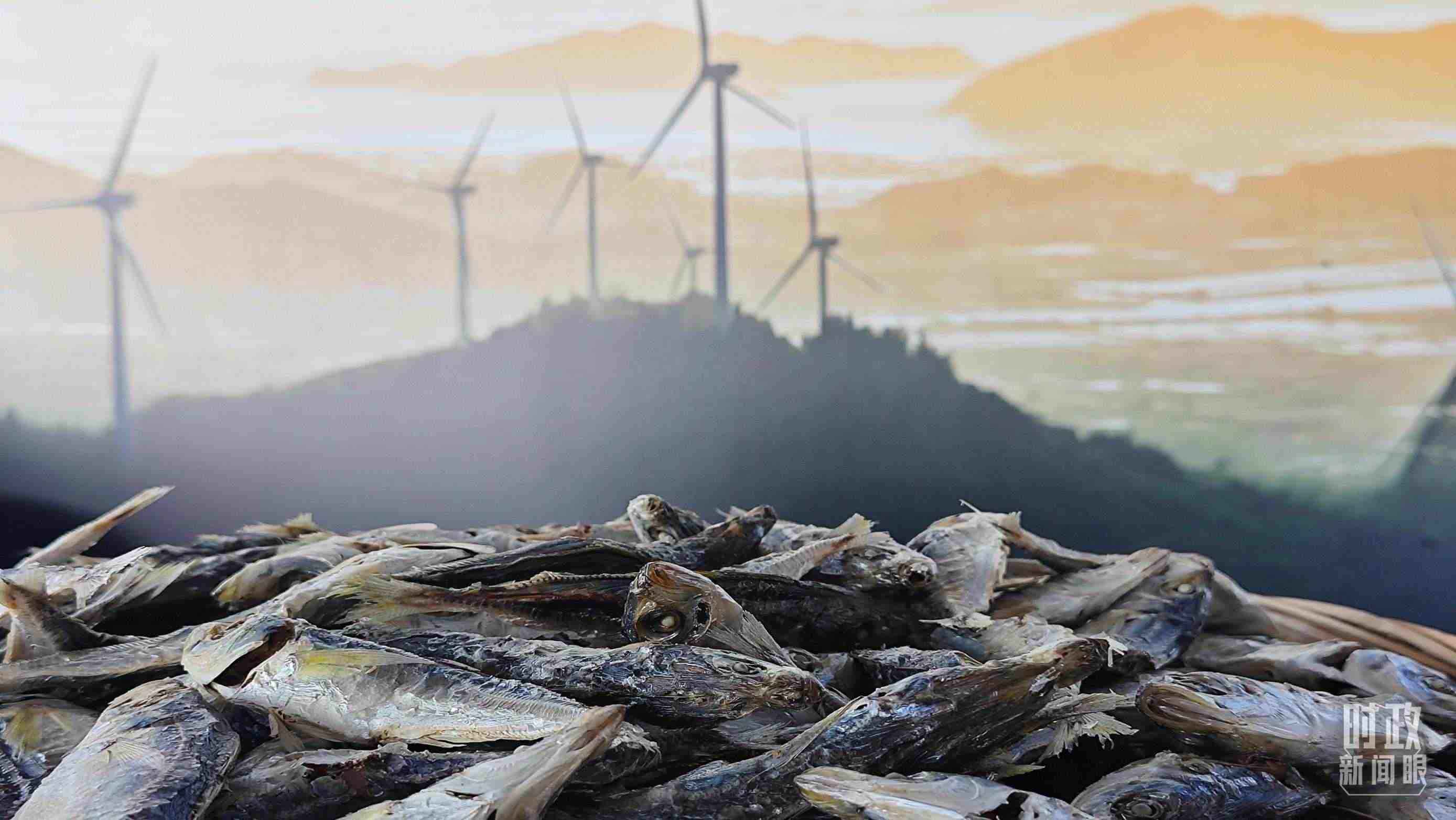 △澳角村的海產(chǎn)品。（總臺(tái)央視記者許永松拍攝）