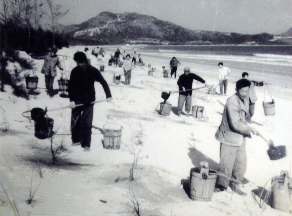 上世紀(jì)東山百姓在沙灘造林（資料照片）。