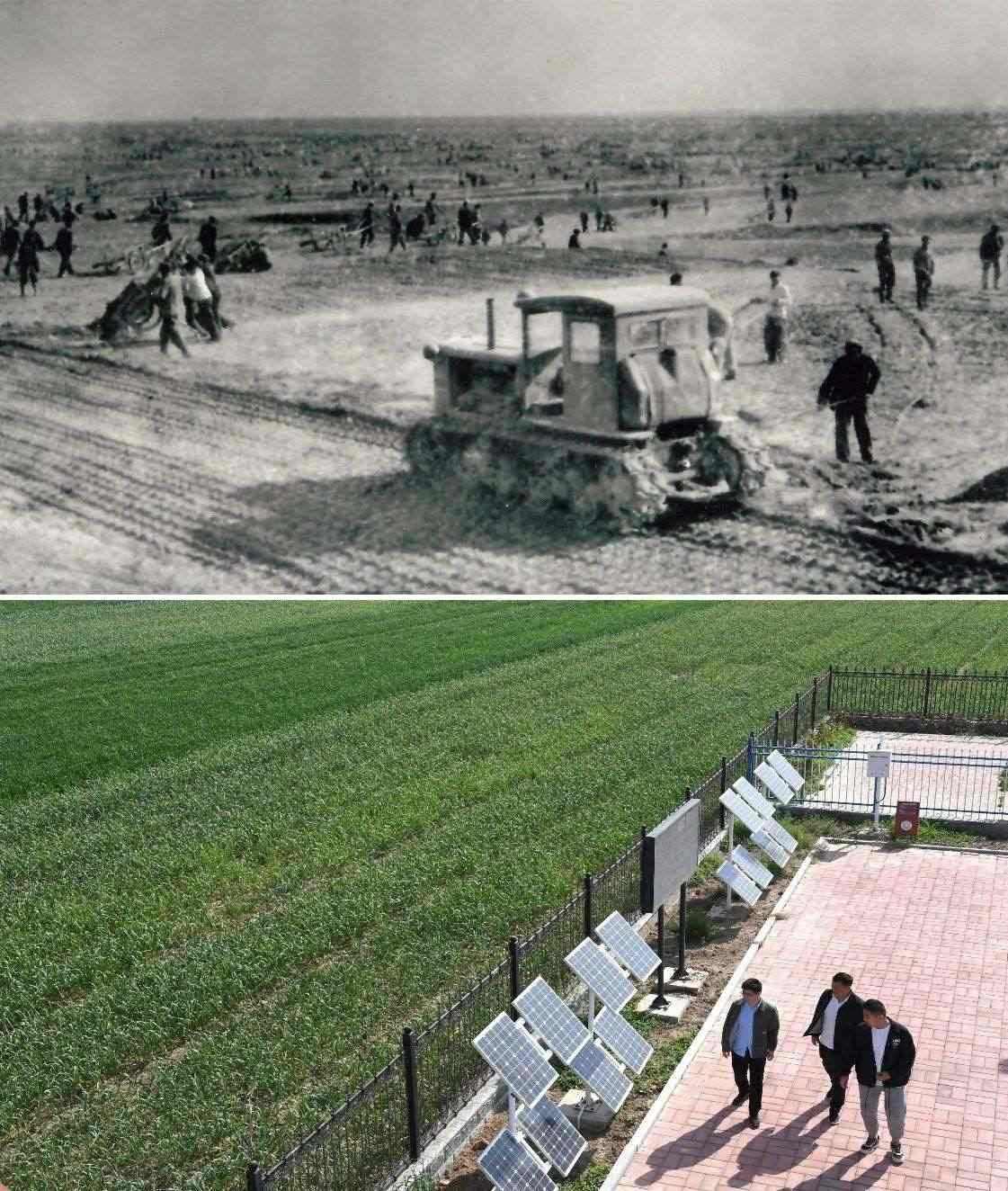 上圖為二十世紀(jì)六十年代蘭考改造鹽堿地的情景（資料照片）；下圖為2024年4月18日拍攝的蘭考縣紅廟鎮(zhèn)高標(biāo)準(zhǔn)農(nóng)田示范區(qū)。（新華社記者 朱祥 攝）