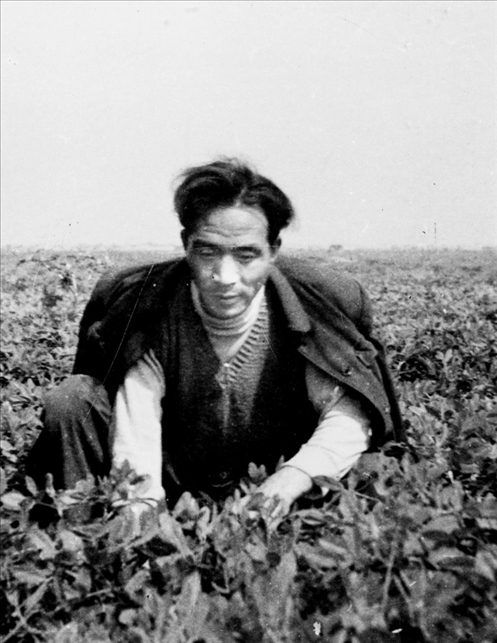 在蘭考期間，焦裕祿在田間勞動(dòng)的情景。