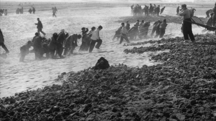 蘭考群眾在拉淤土壓沙。（新華社記者 鄧歷耕 攝）