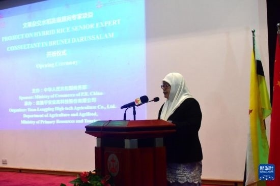 10月26日，文萊初級資源與旅游部常任秘書圖蒂亞蒂在斯里巴加灣市出席中國與文萊雜交水稻高級專家顧問項目啟動儀式。新華社記者 李萌 攝