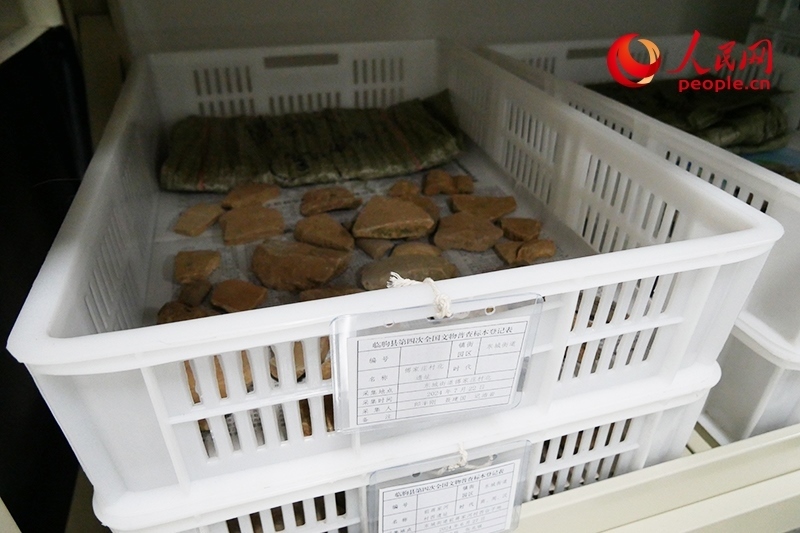已經(jīng)整理完畢的文物標(biāo)本。人民網(wǎng)記者 韋衍行攝